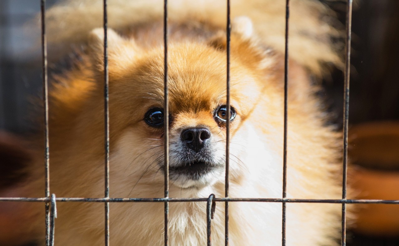Keep That Crate